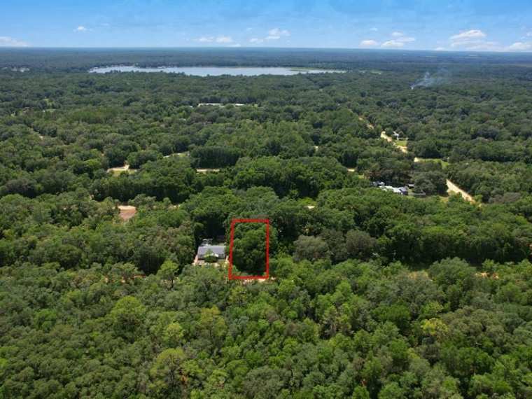 Aerial view of a heavily wooded parcel in Interlachen, Putnam County, outlined in red, surrounded by mature oak and pine canopy with a lake visible on the horizon.